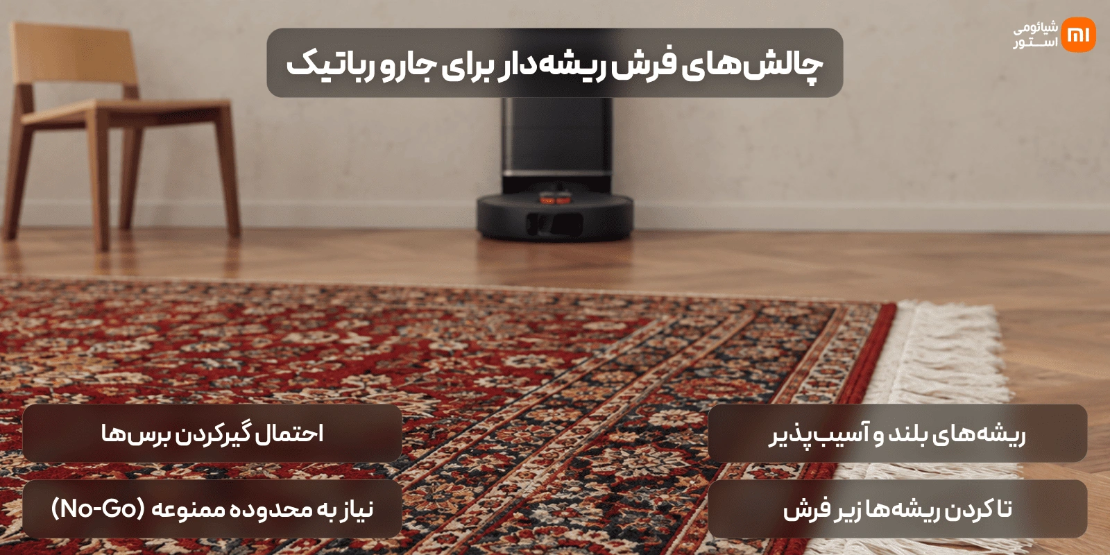 ۴. فرشهای دارای ریشه، منگوله یا حاشیههای برجسته