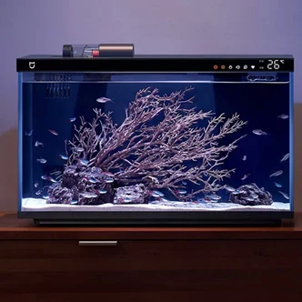 بررسی قابلیت های بی نظیر آکواریوم هوشمند میجیا