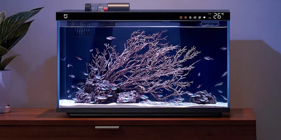 بررسی قابلیت های بی نظیر آکواریوم هوشمند میجیا